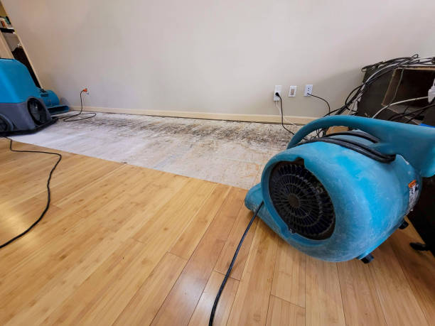 Professional Flood Damage Cleanup technician working in Cusick, WA